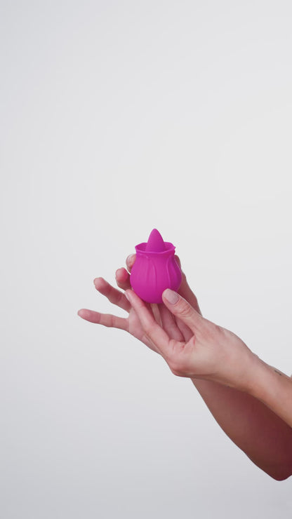 The Rose by Shanna Moakler